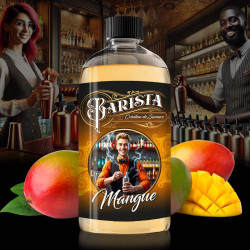 Mangue 500ml BARISTA - Promovap