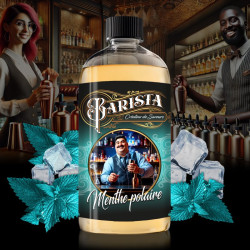 Menthe Polaire 500ml BARISTA - Promovap