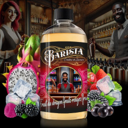 Fruit Du Dragon Fruits Rouges Frais 500ml BARISTA - Promovap