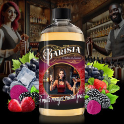 Fruits Rouges Raisin frais 500ml BARISTA - Promovap