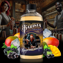 Mangue Cassis Mure Frais 500ml BARISTA - Promovap