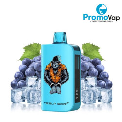 Puff Tesla Bar by Teslacigs ST-10K 2% 10ml Grape Ice - Teslacigs