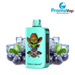 Puff Tesla Bar by Teslacigs ST-10K 2% 10ml Blueberry Ice - Teslacigs