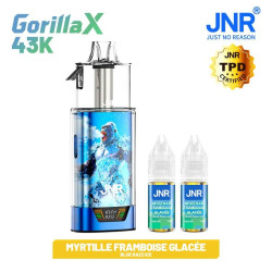 Puff Gorilla X Blue Razz Ice 0mg sans nicotine - JNR - JNR
