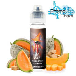 Explosive Melon 50ml HIDDEN POTION - Arômes et Liquides